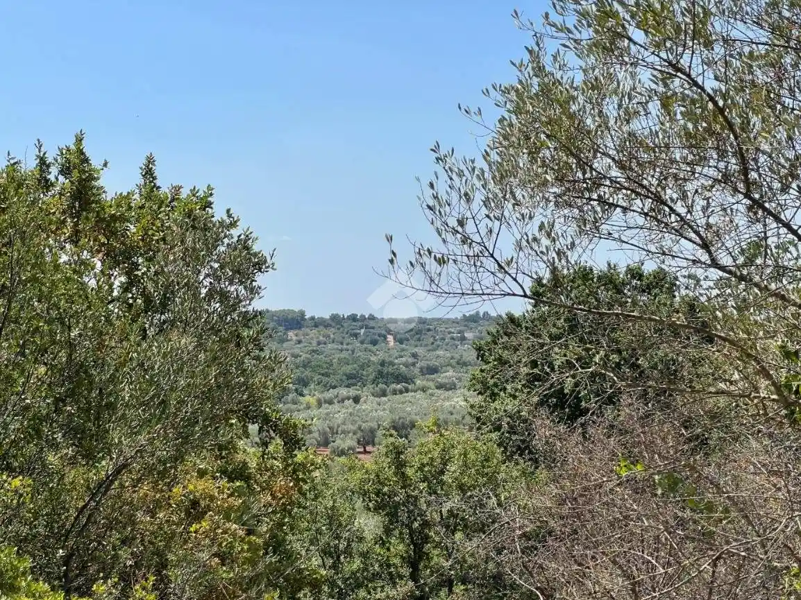 Rustico - Casale in vendita a Ceglie Messapica