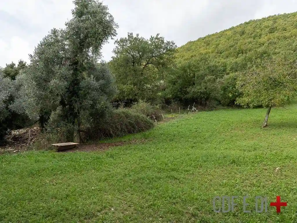 Rustico - Casale - foto 5