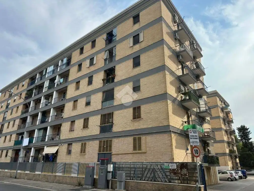 Appartamento in affitto a Foggia