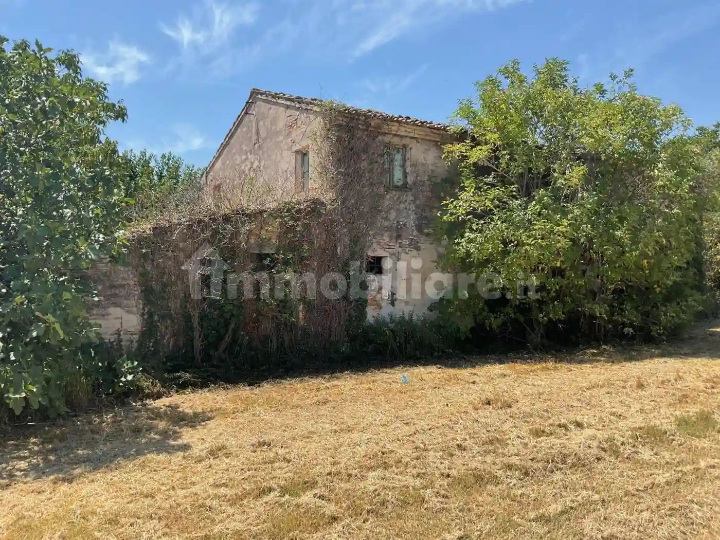 Palazzo - Edificio - foto 4