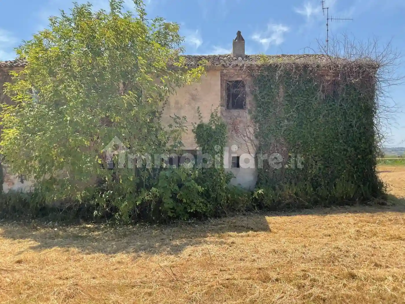 Palazzo - Edificio - foto 5