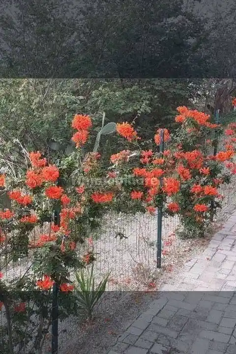 Villa unifamiliare Vico 2 Scesa Caserma 1, Centro, Castroreale - foto 5