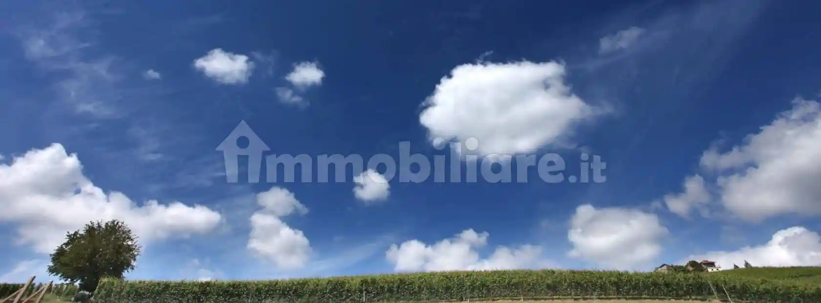 Villa in vendita a Alba