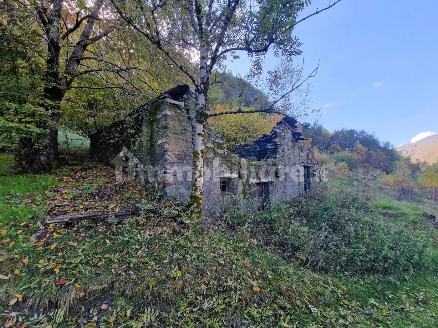 Rustico - Casale in vendita a Corteno Golgi