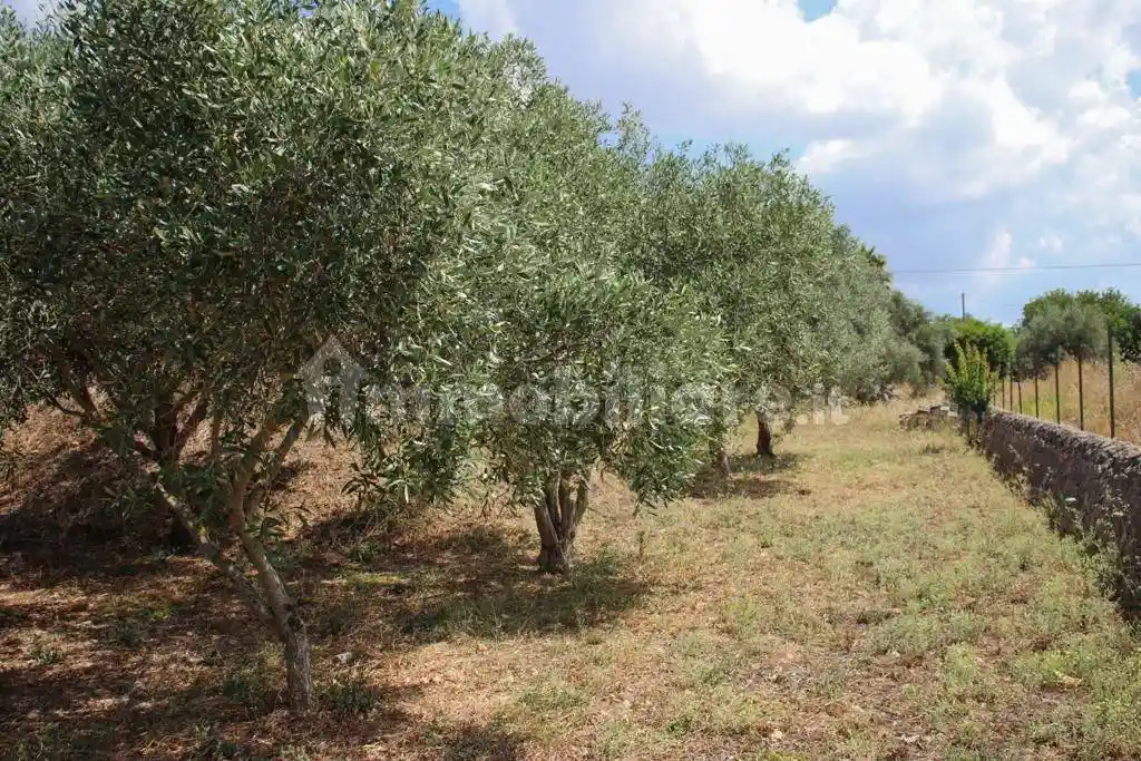 Villa unifamiliare via Crocevia 14A, Musebbi I, Modica - foto 4