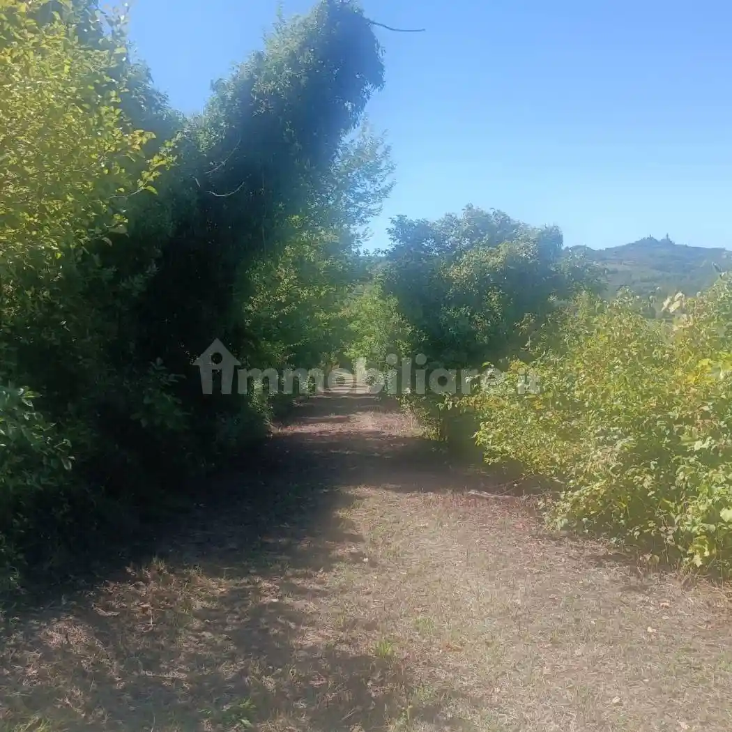 Rustico via Casale, Centro, Camagna Monferrato - foto 3