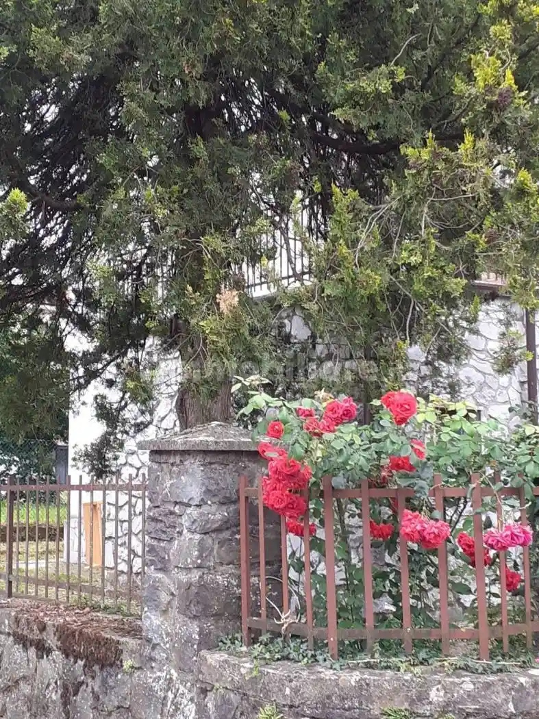 Villa in vendita a Fivizzano