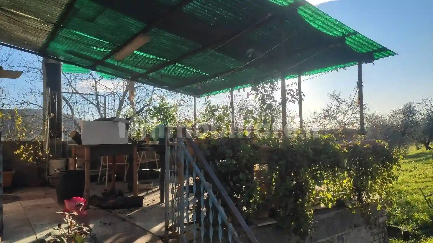 Rustico - Casale - foto 4