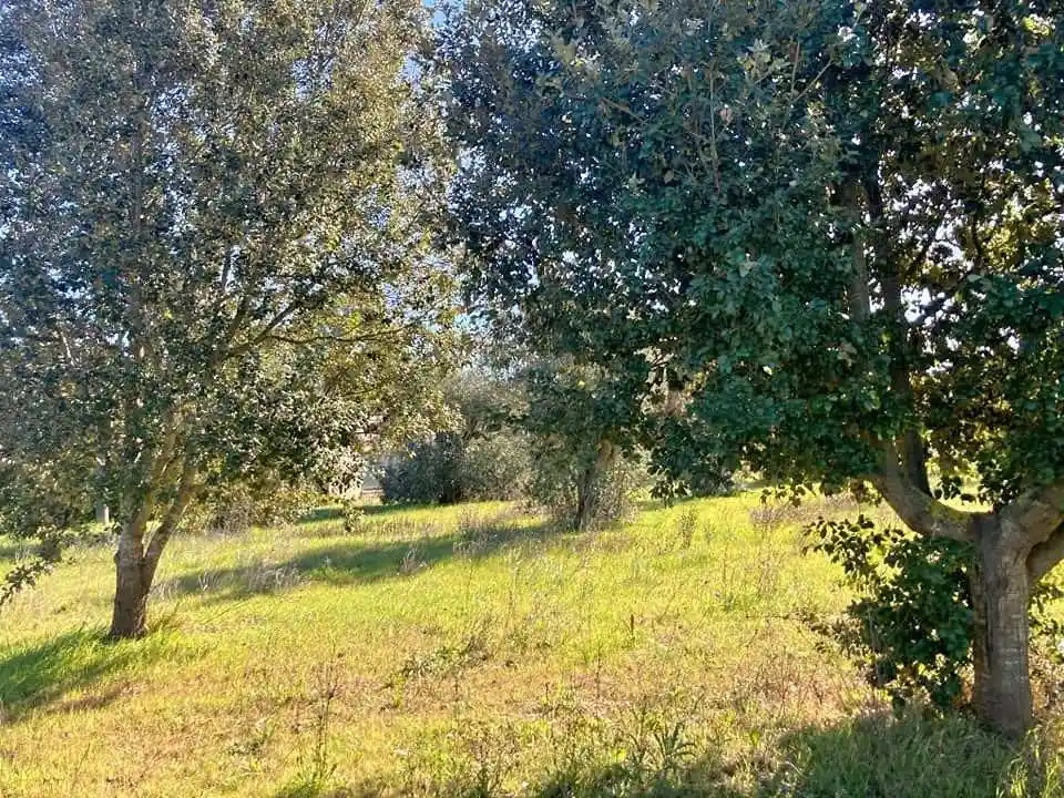 Villa in vendita a Galatina
