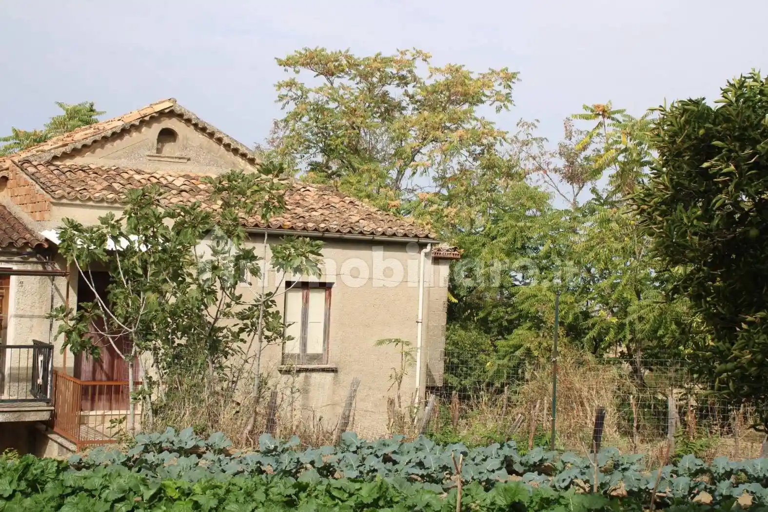 Casale Località Boccalupo, Rose - foto 2