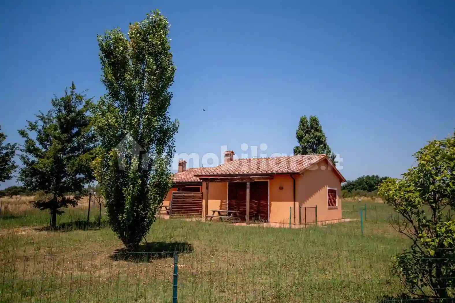 Rustico - Casale - foto 5