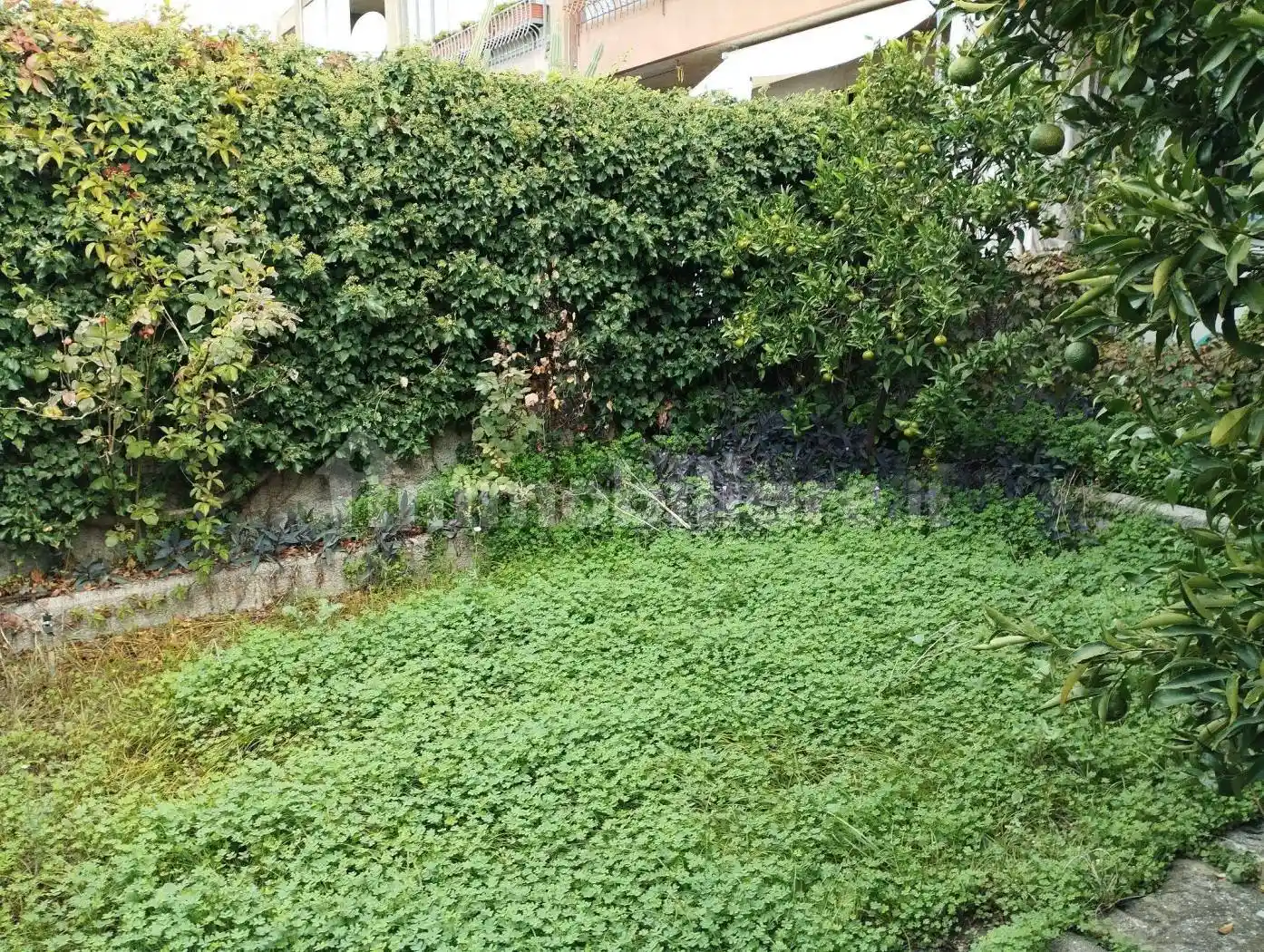 Villa a schiera viale Tommaso Campanella 186, Mater Domini - Cavita, Catanzaro - foto 2