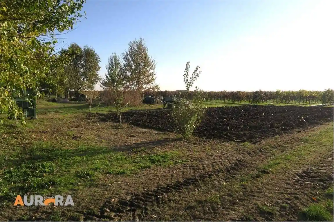 Villa in vendita a Bomporto