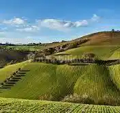 Appartamento in vendita a Agugliano