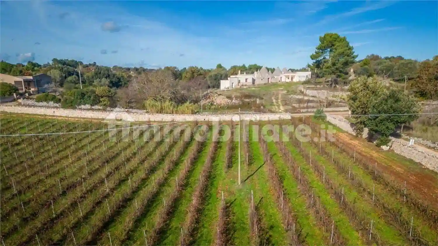 Rustico - Casale - foto 5