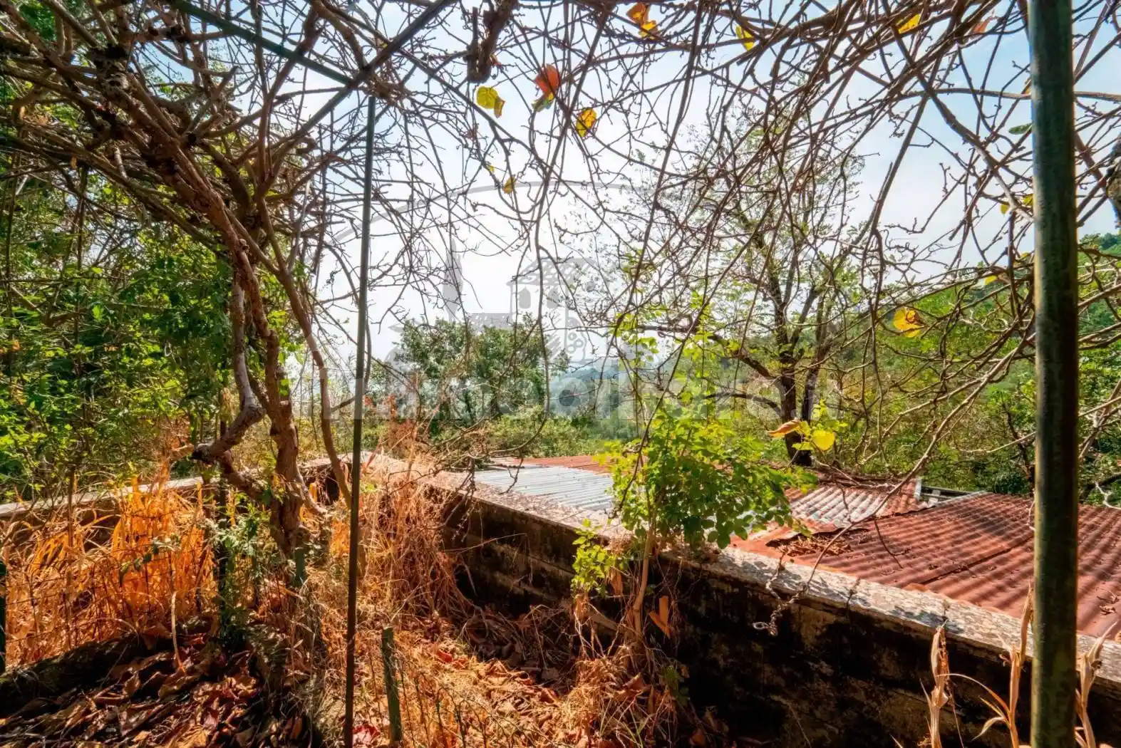 Terratetto unifamiliare via gaville, Gaville, Figline e Incisa Valdarno - foto 4