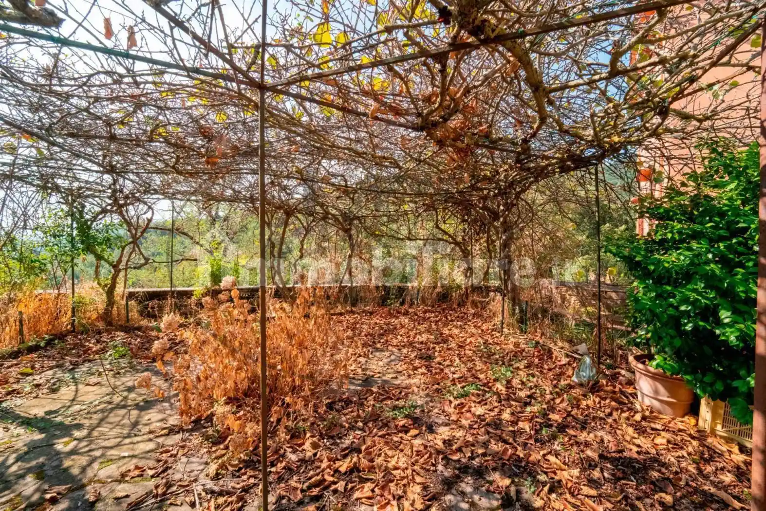 Terratetto unifamiliare via gaville, Gaville, Figline e Incisa Valdarno - foto 5