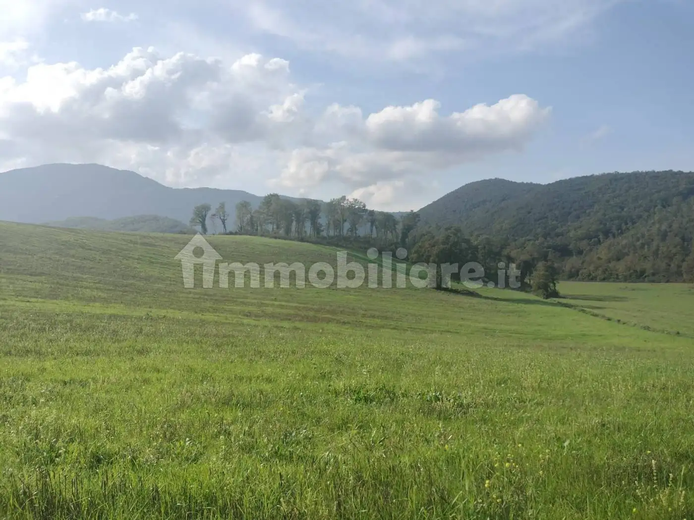 Rustico - Casale in vendita a Colli sul Velino