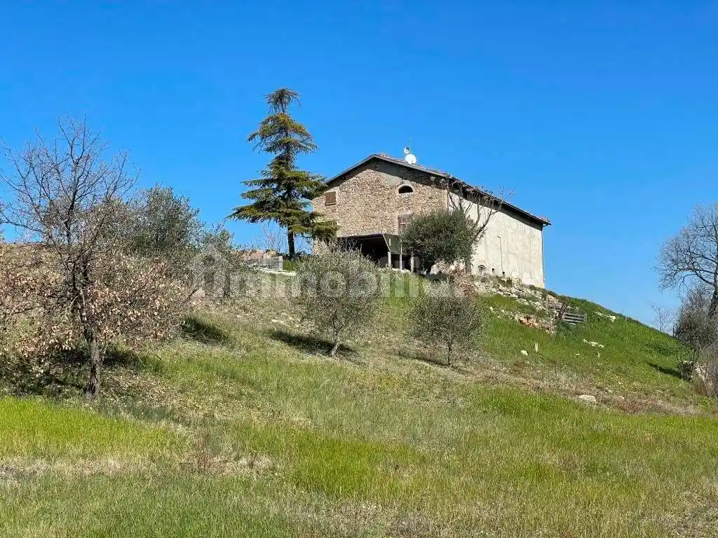 Rustico - Casale in vendita a Castelvetro di Modena
