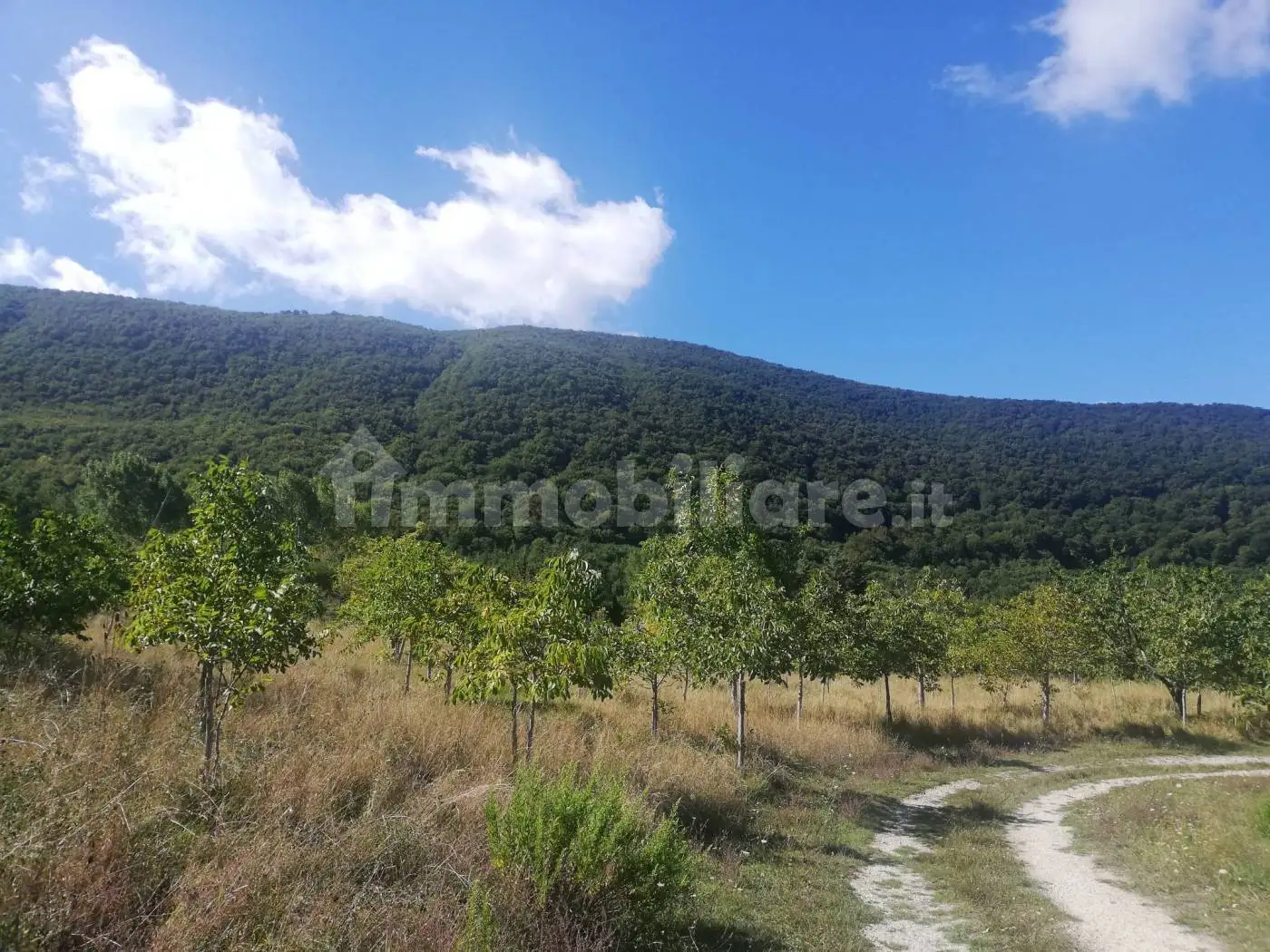 Casa indipendente in vendita a San Fele