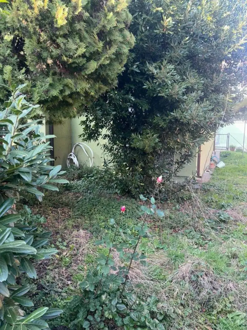 Villa unifamiliare via Roma, Centro, Boara Pisani - foto 4