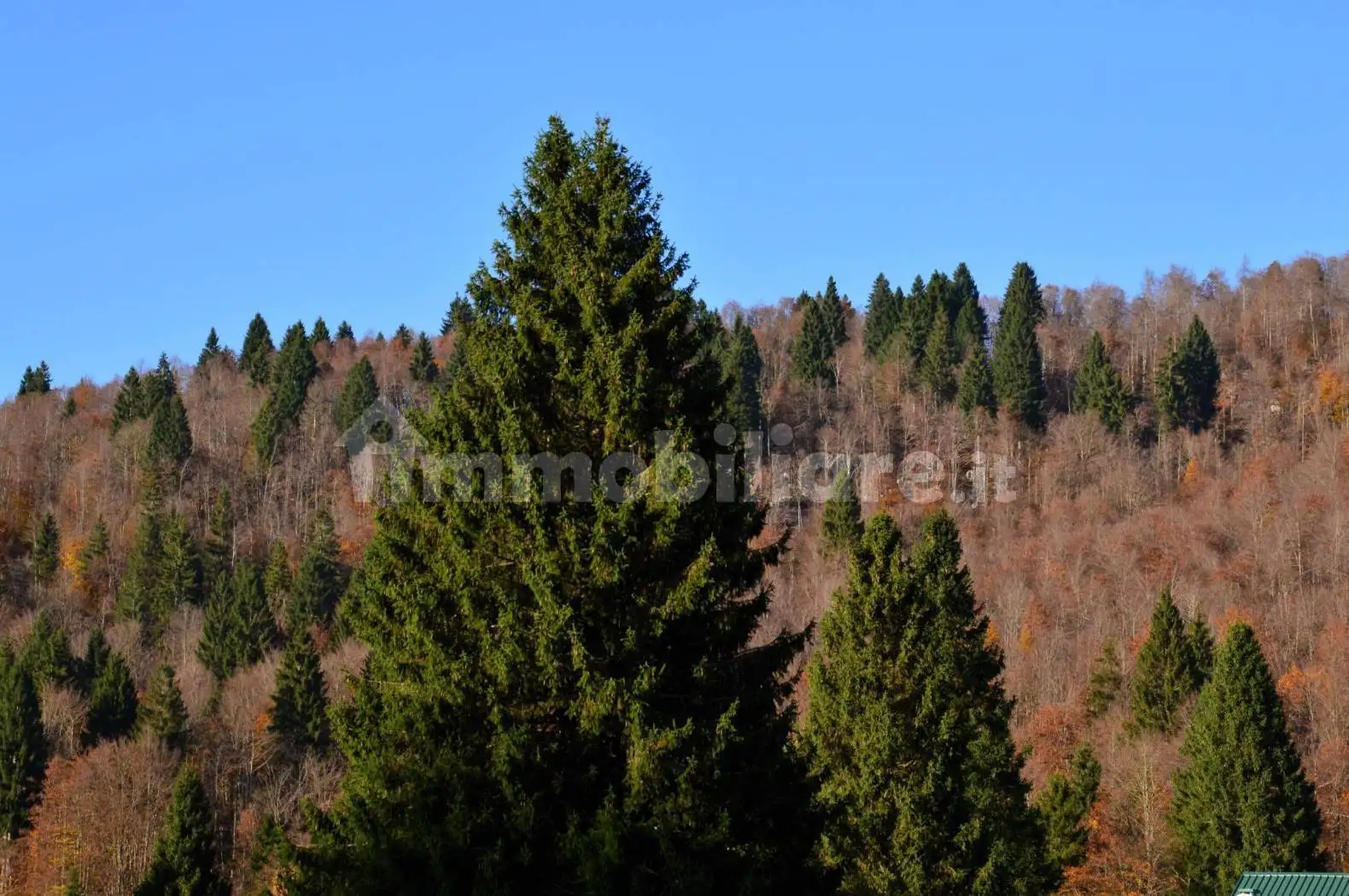 Trilocale via Galgi, Galgi, Lusiana Conco - foto 3