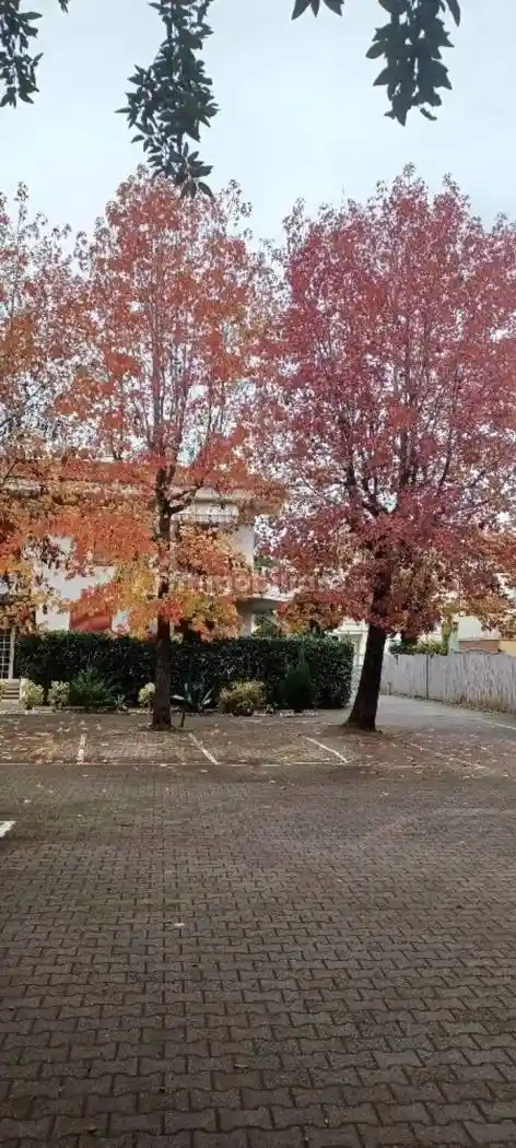 Appartamento in vendita a Massa