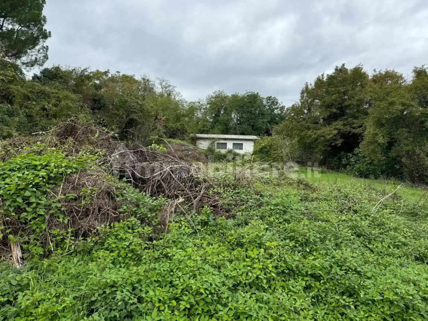 Villa bifamiliare, da ristrutturare, 335 m², San Carlo - Roversano, Cesena - foto 2