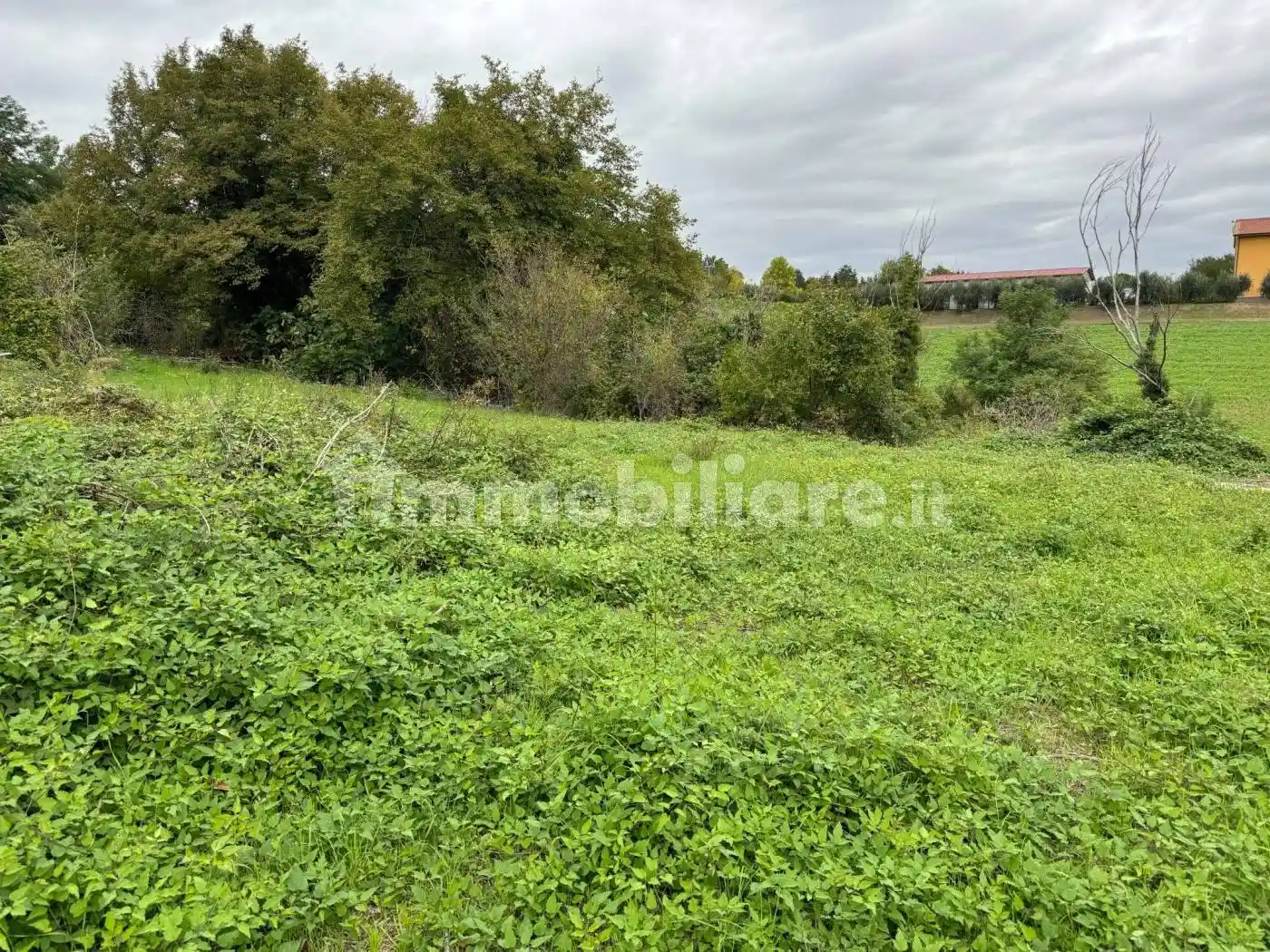 Villa bifamiliare, da ristrutturare, 335 m², San Carlo - Roversano, Cesena - foto 3