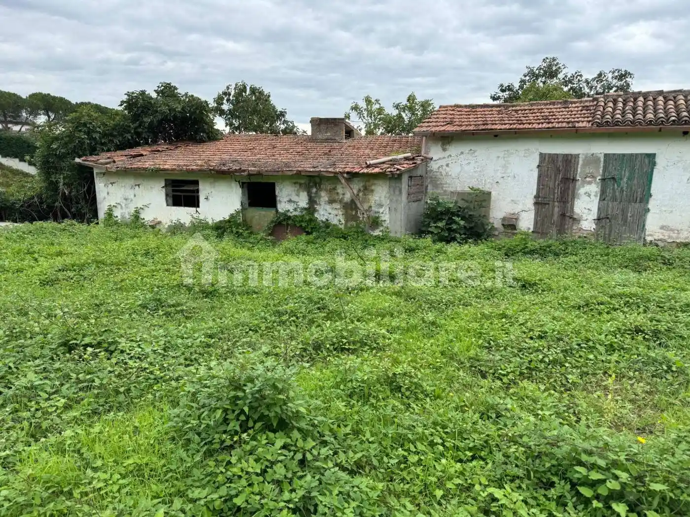 Villa bifamiliare, da ristrutturare, 335 m², San Carlo - Roversano, Cesena - foto 4