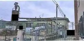 Palazzo - Stabile - foto 3