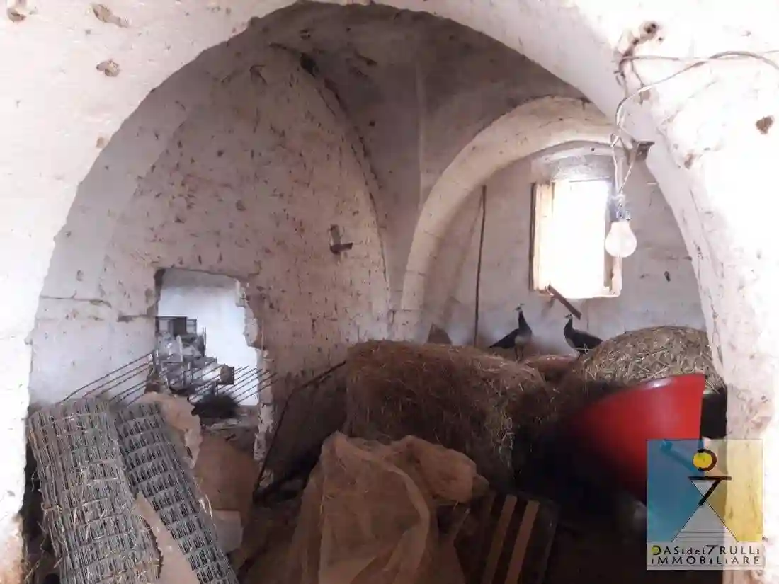 Rustico - Casale - foto 3