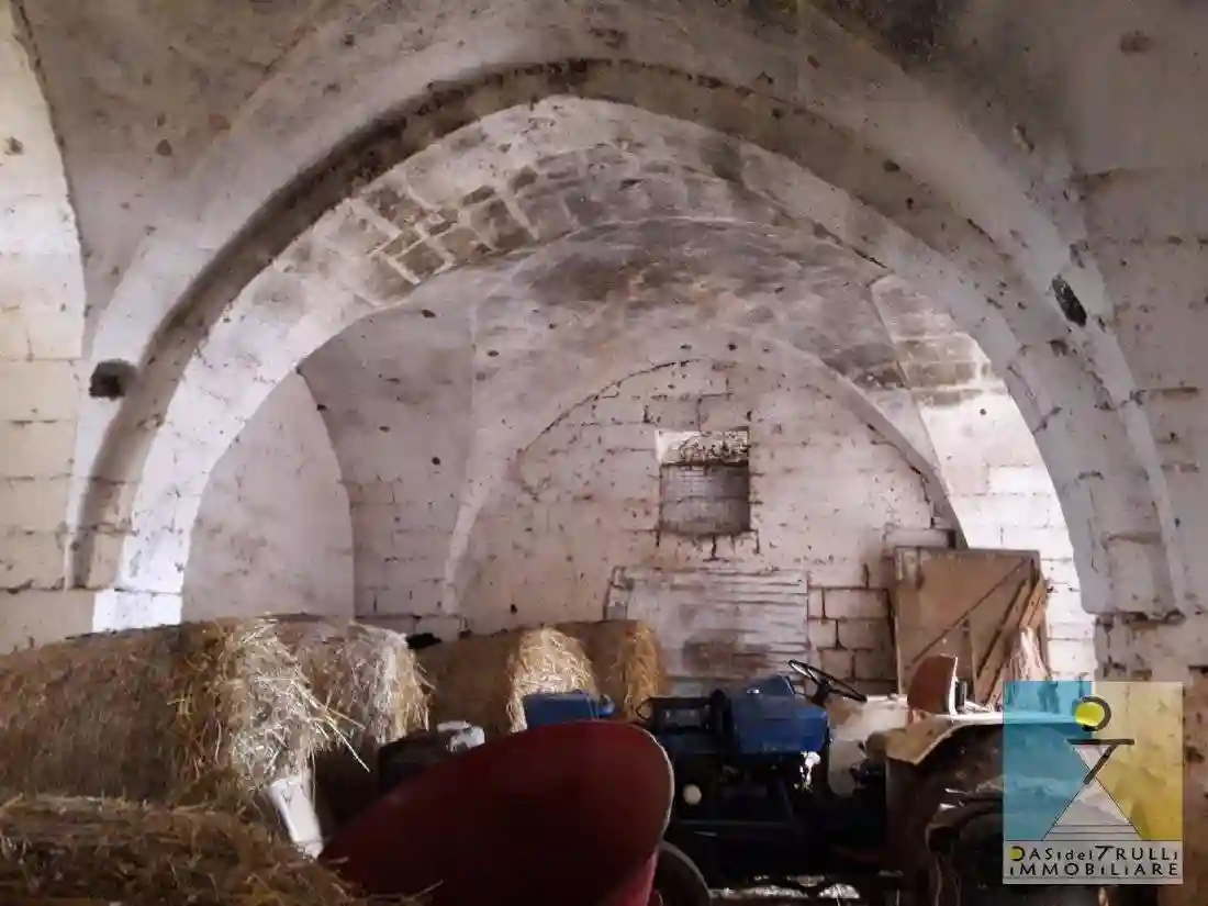 Rustico - Casale - foto 5