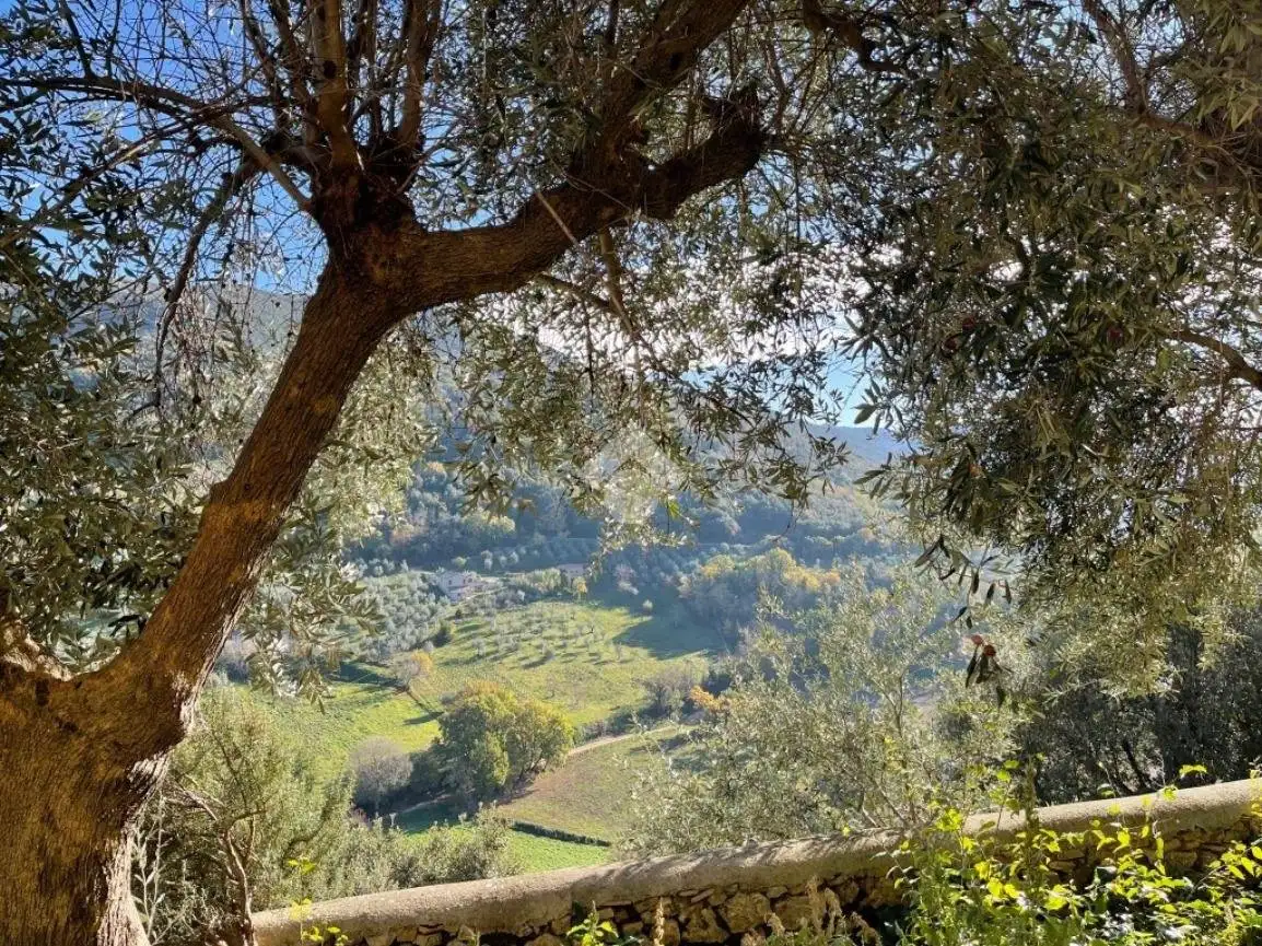 Terratetto unifamiliare vicolo degli orti 11, Centro, Casperia - foto 3