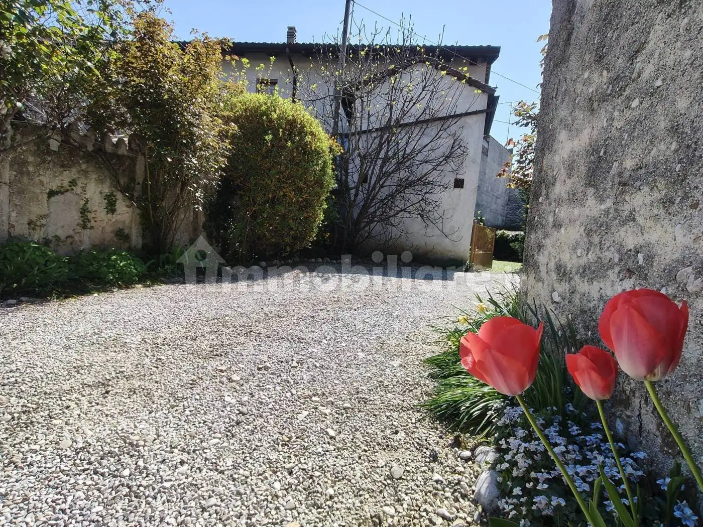 Terratetto unifamiliare via Pavia 61, Buttrio - foto 2