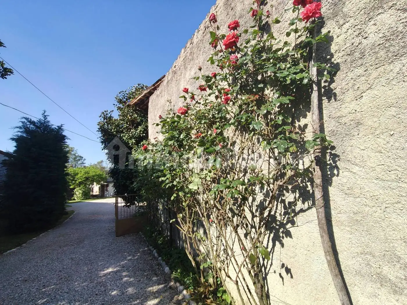 Terratetto unifamiliare via Pavia 61, Buttrio - foto 4