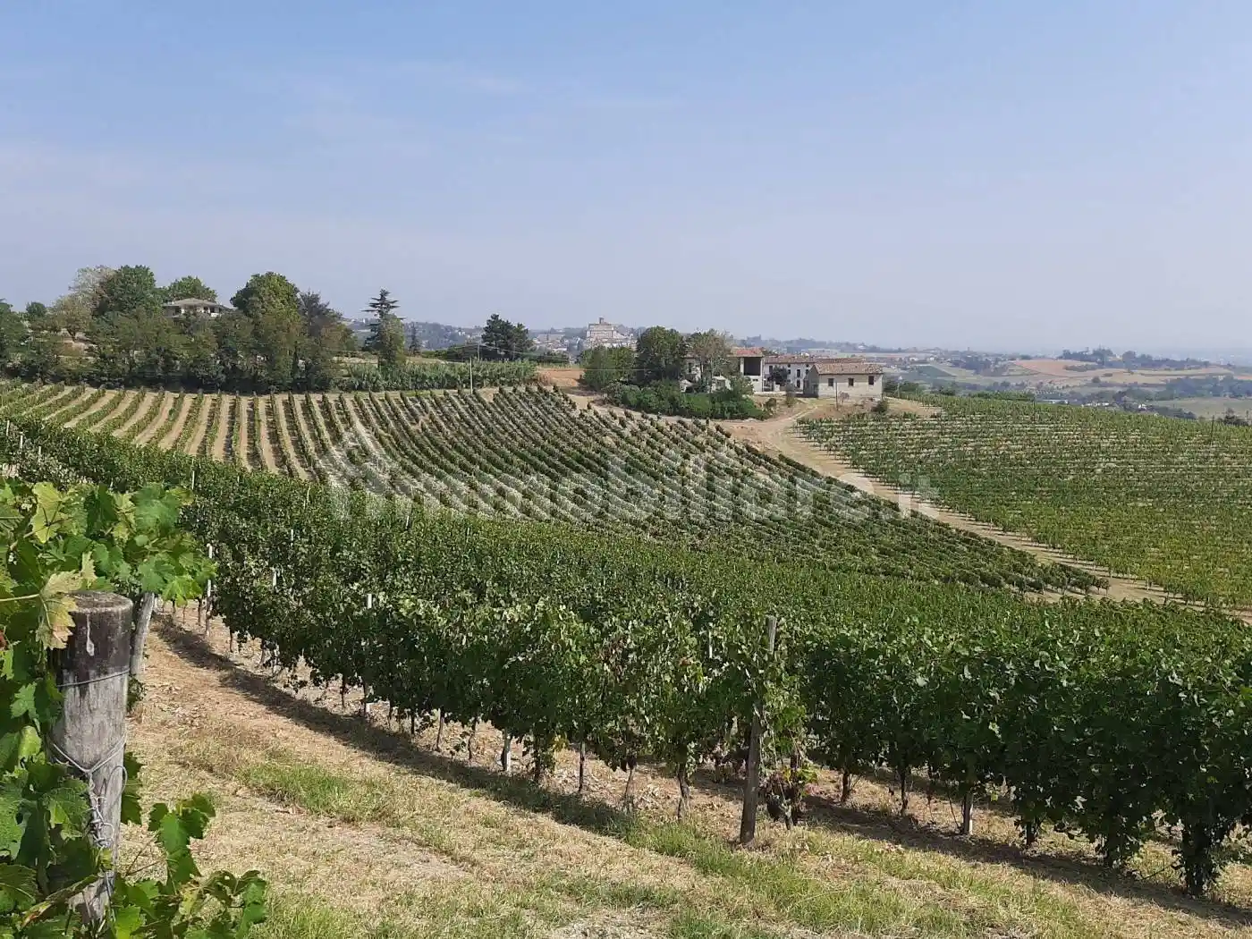 Rustico - Casale in vendita a Rosignano Monferrato