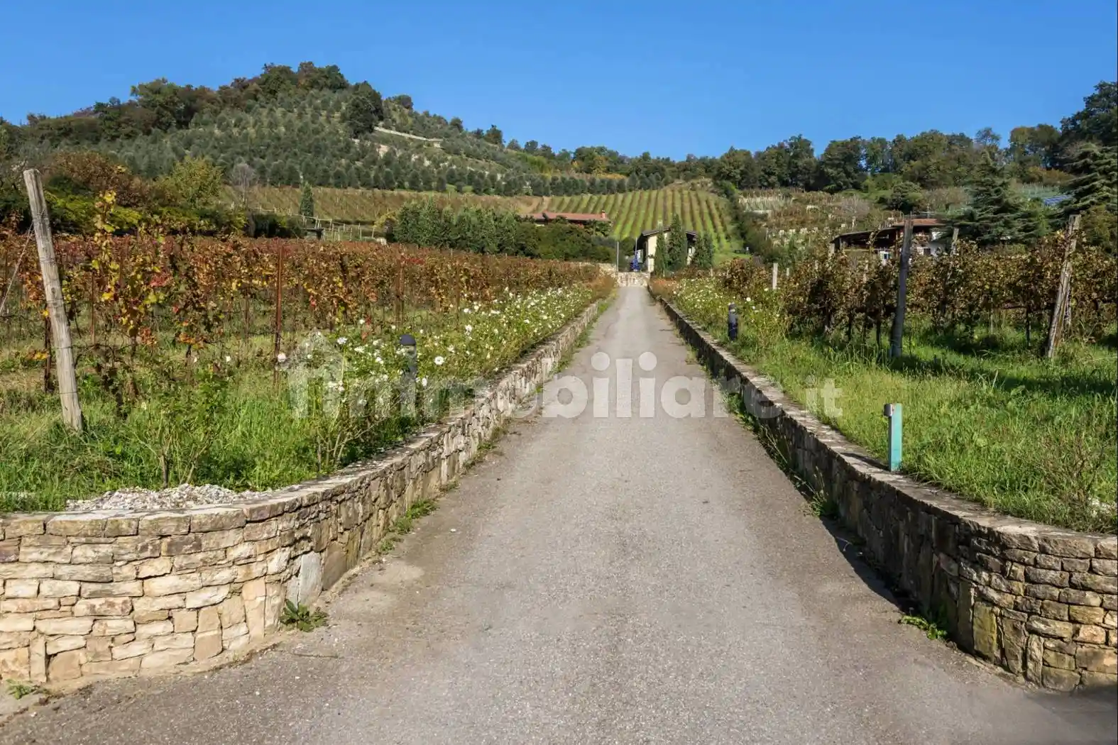 Villa in vendita a Scanzorosciate