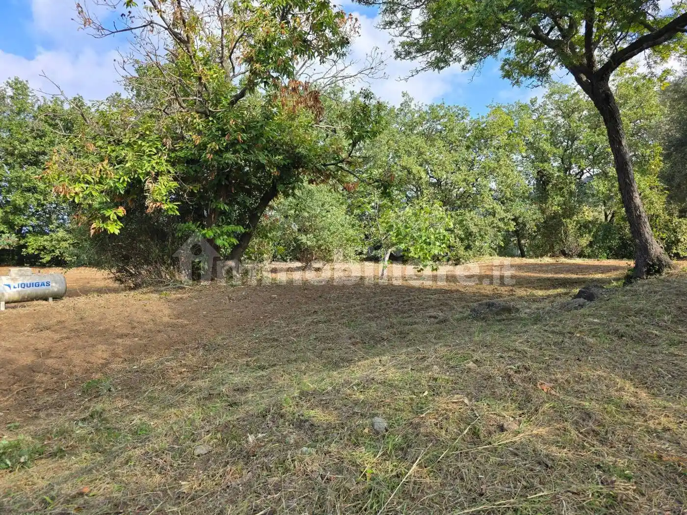 Villa unifamiliare via Nuova Strada Longobardi 35, Vibo Valentia - foto 5