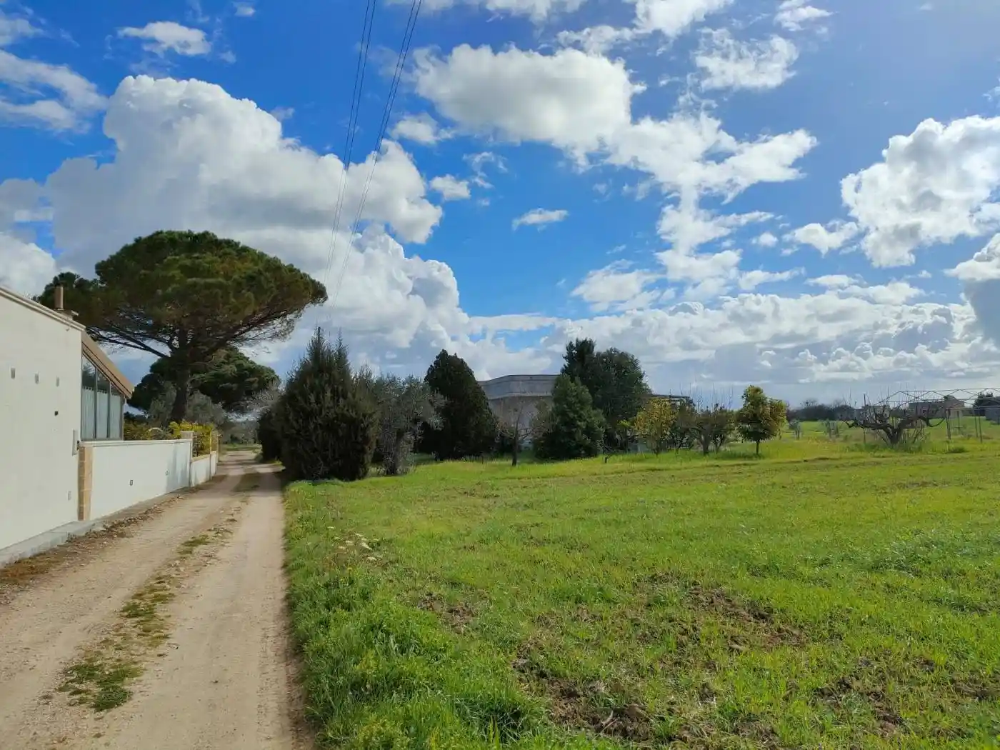 Rustico - Casale in vendita a Neviano