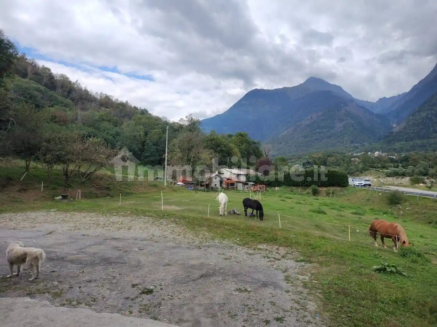 Casa indipendente - foto 4