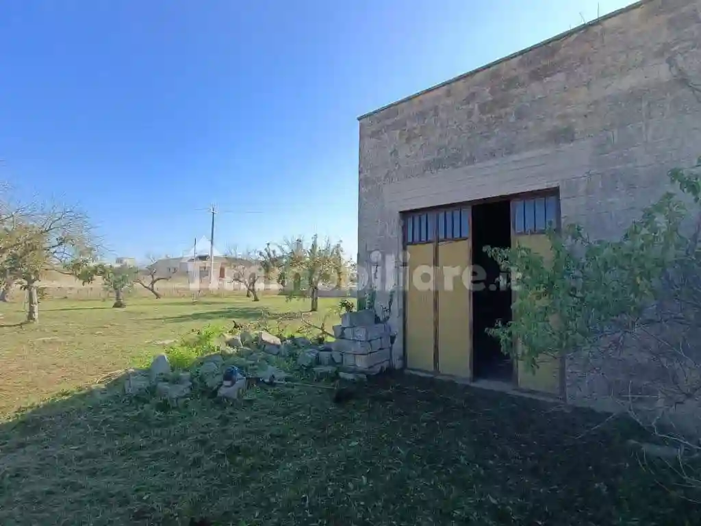 Rustico - Casale - foto 5