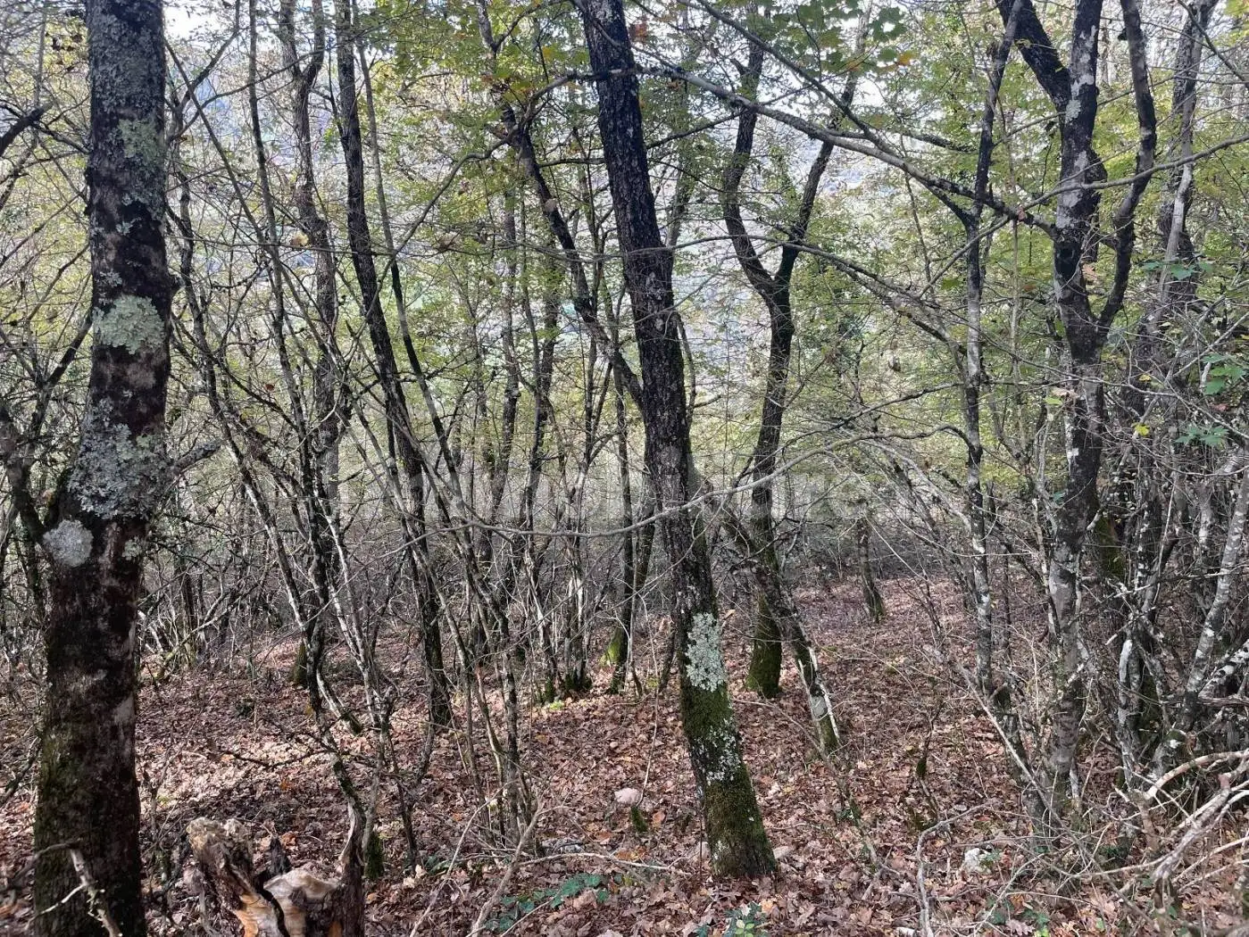 Rustico via Dante Alighieri, Cerreto di Spoleto - foto 2