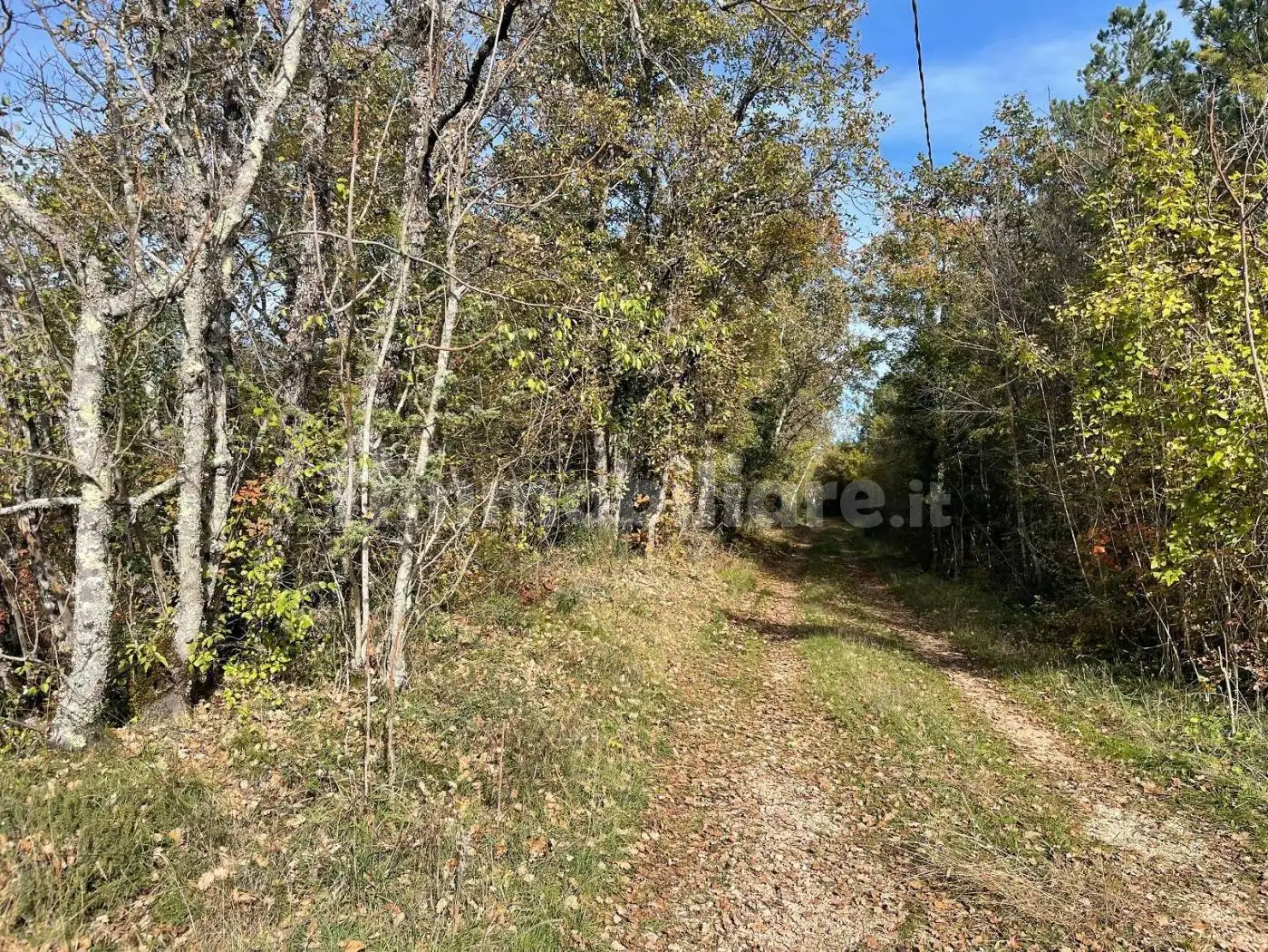 Rustico via Dante Alighieri, Cerreto di Spoleto - foto 3