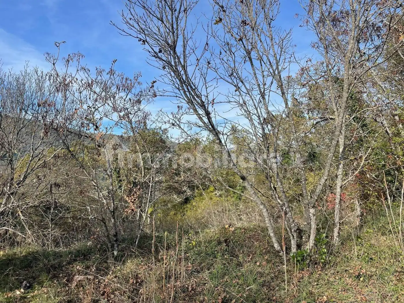 Rustico via Dante Alighieri, Cerreto di Spoleto - foto 4