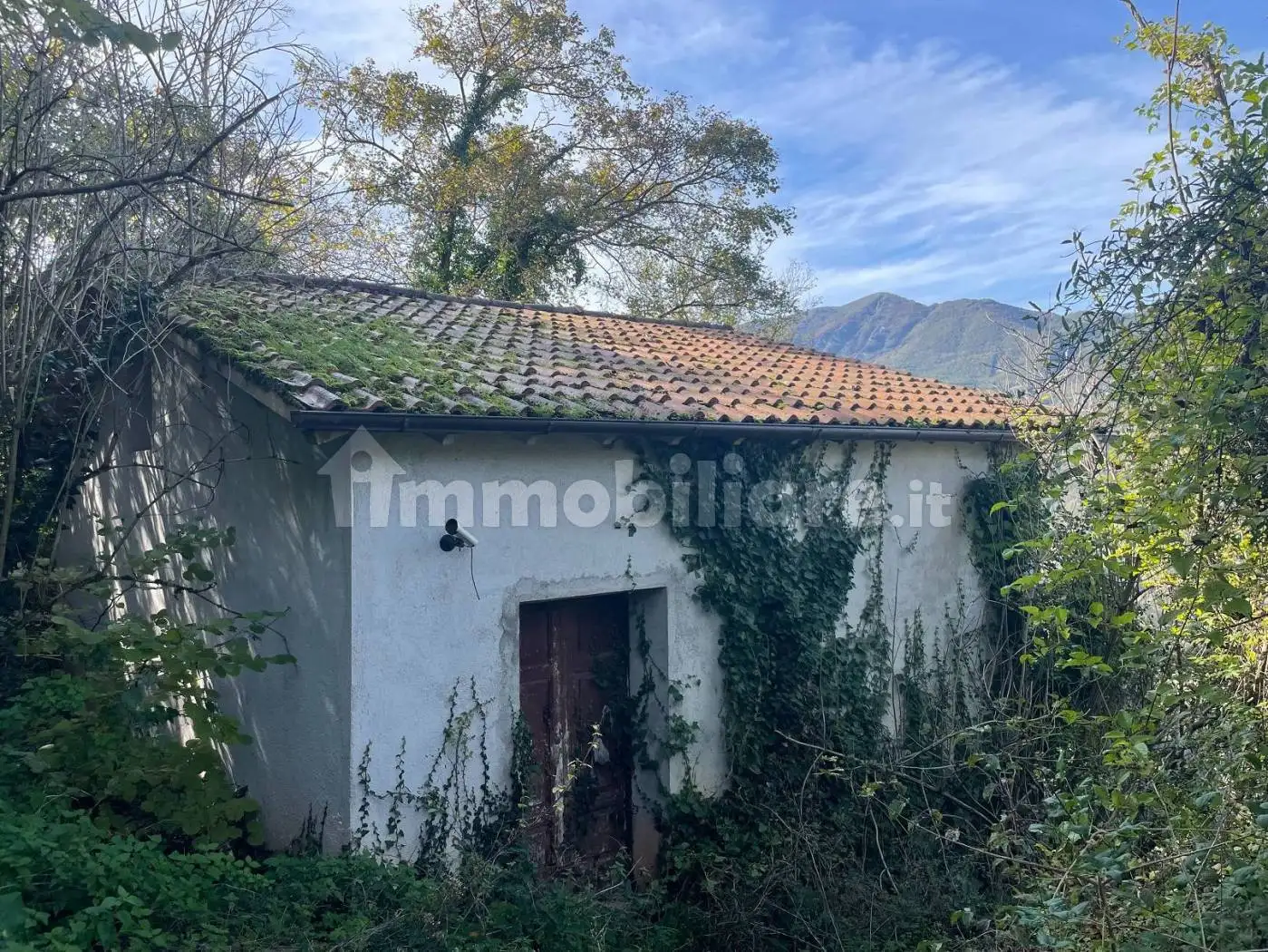 Rustico via Dante Alighieri, Cerreto di Spoleto - foto 5