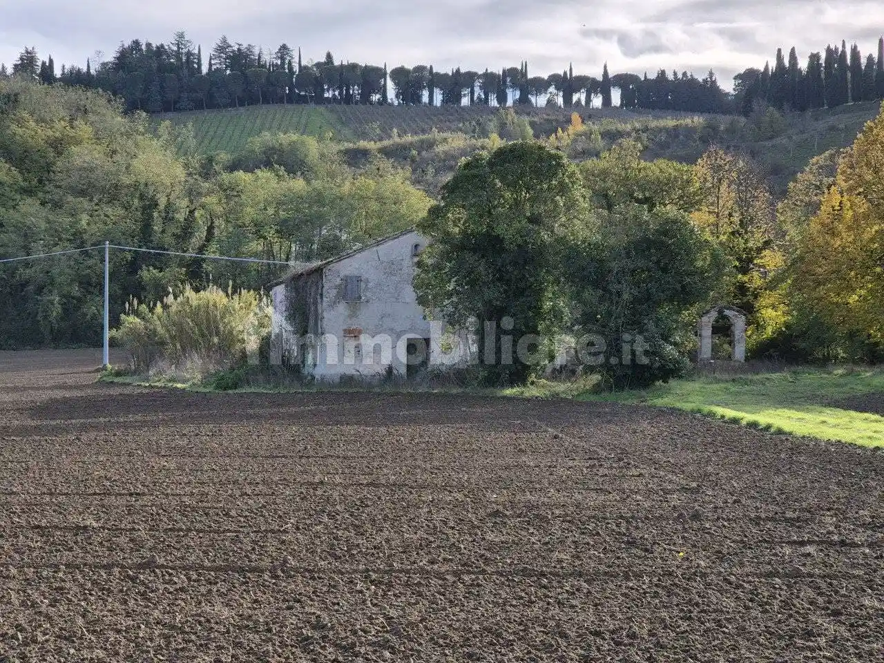 Rustico, da ristrutturare, 435 m², San Carlo - Roversano, Cesena - foto 2