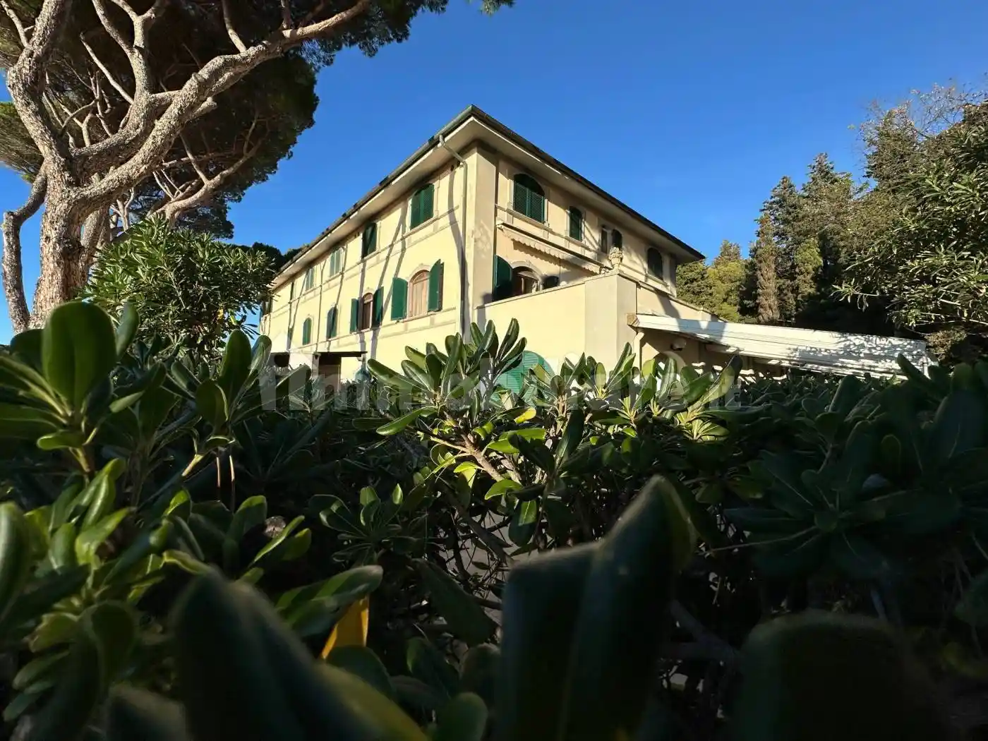 Appartamento in vendita a Rosignano Marittimo