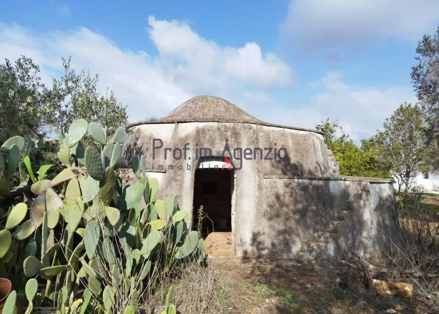Rustico - Casale in vendita a San Vito dei Normanni