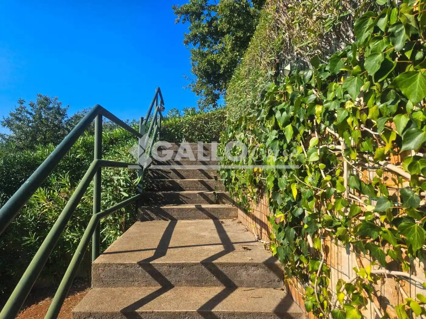 Villa bifamiliare Località Telegrafo - Case Rosse, Bonifati - foto 3